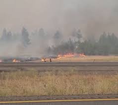 gray fire medical lake